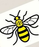 Manchester Bee